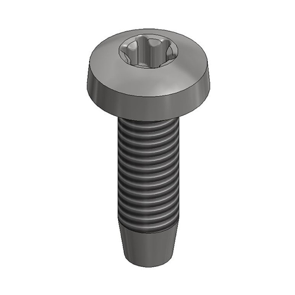 Van Der Valk SS thread-forming bolt M6x20mm - T30